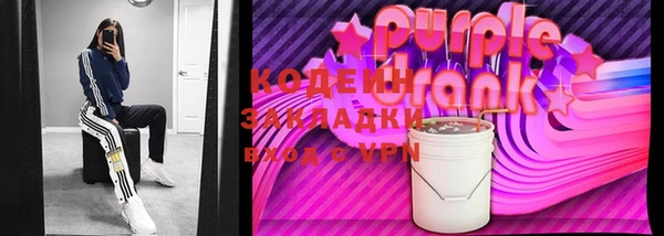 твердый Иннополис
