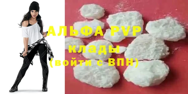 твердый Иннополис