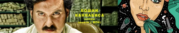 твердый Иннополис