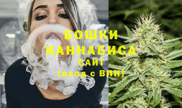 твердый Иннополис