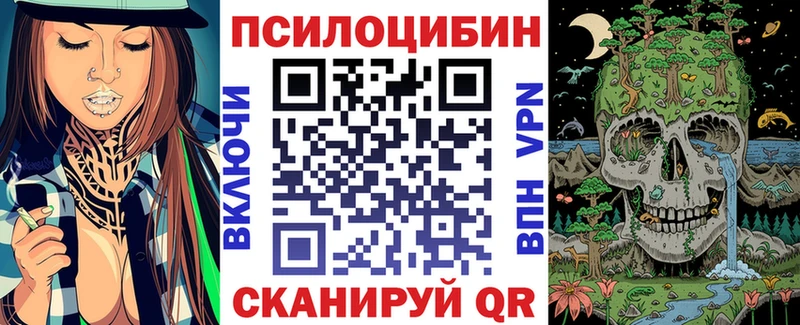 Купить  Полярные Зори  Галлюциногенные грибы прущие грибы 